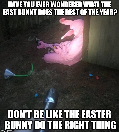 The Easter Bunny The Rest of The Year | HAVE YOU EVER WONDERED WHAT THE EAST BUNNY DOES THE REST OF THE YEAR? DON'T BE LIKE THE EASTER BUNNY DO THE RIGHT THING | image tagged in the easter bunny the rest of the year,easter has been cancelled,drunkbunny,bad bunny,easter bunny tatical | made w/ Imgflip meme maker