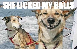 Joy | SHE LICKED MY BALLS | image tagged in memes,original stoner dog | made w/ Imgflip meme maker
