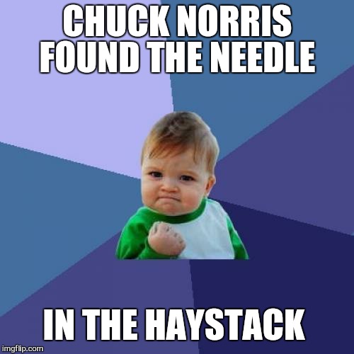 Success Kid Meme | CHUCK NORRIS FOUND THE NEEDLE IN THE HAYSTACK | image tagged in memes,success kid | made w/ Imgflip meme maker