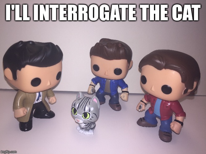I'LL INTERROGATE THE CAT | image tagged in supernatural,castiel,funny quotes | made w/ Imgflip meme maker