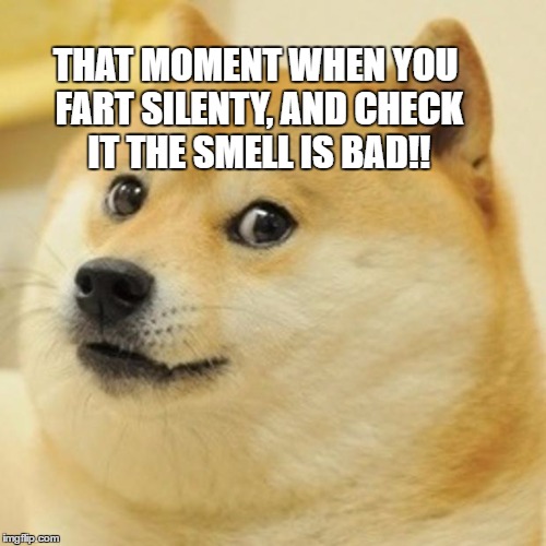 Doge Meme | THAT MOMENT WHEN YOU FART SILENTY, AND CHECK IT THE SMELL IS BAD!! | image tagged in memes,doge | made w/ Imgflip meme maker