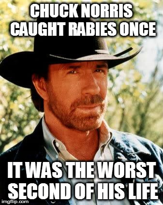 Chuck Norris | CHUCK NORRIS CAUGHT RABIES ONCE; IT WAS THE WORST SECOND OF HIS LIFE | image tagged in memes,chuck norris | made w/ Imgflip meme maker