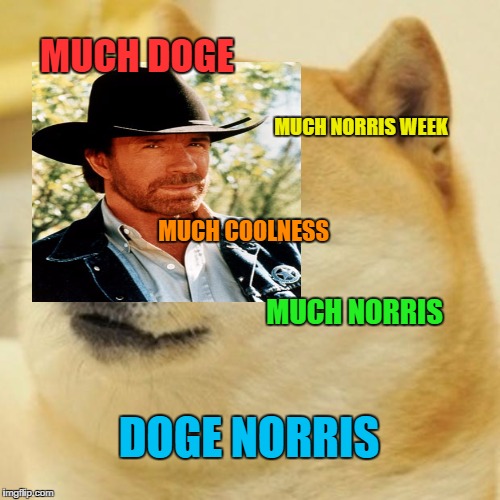 Doge Meme | MUCH DOGE; MUCH NORRIS WEEK; MUCH COOLNESS; MUCH NORRIS; DOGE NORRIS | image tagged in memes,doge | made w/ Imgflip meme maker