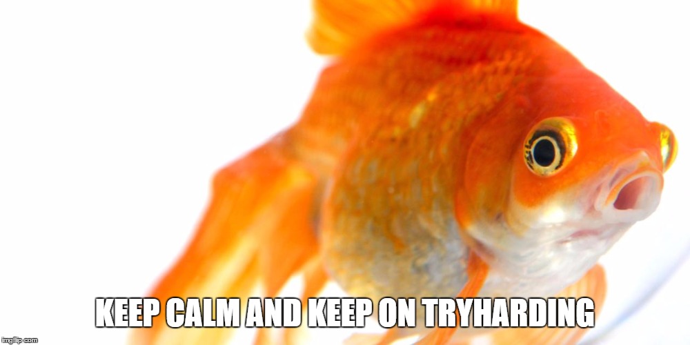 KEEP CALM AND KEEP ON TRYHARDING | made w/ Imgflip meme maker