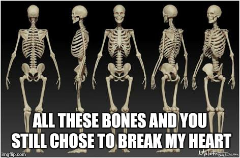 Don't break someone's heart they only have one,break their bones they have many | ALL THESE BONES AND YOU STILL CHOSE TO BREAK MY HEART | image tagged in memes,broken heart | made w/ Imgflip meme maker
