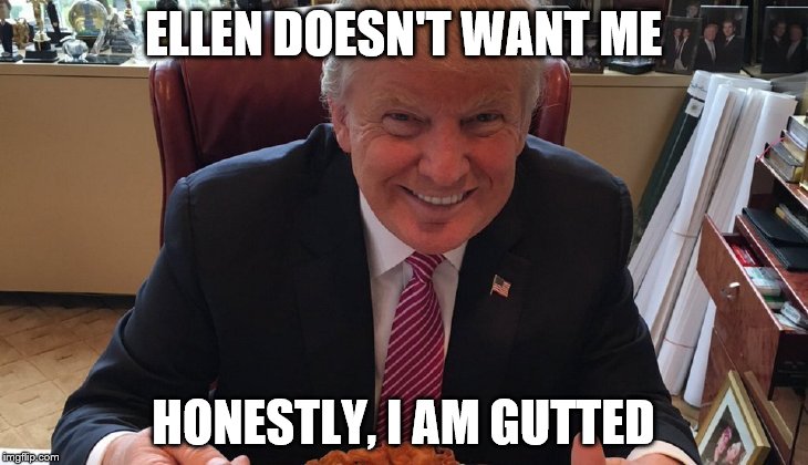 Ellen doesnt want me on her show | ELLEN DOESN'T WANT ME; HONESTLY, I AM GUTTED | image tagged in ellen doesnt want me on her show | made w/ Imgflip meme maker