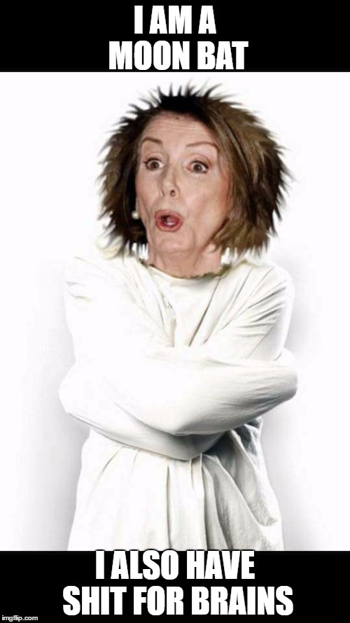 Pelosi Nut | I AM A MOON BAT; I ALSO HAVE SHIT FOR BRAINS | image tagged in pelosi nut | made w/ Imgflip meme maker