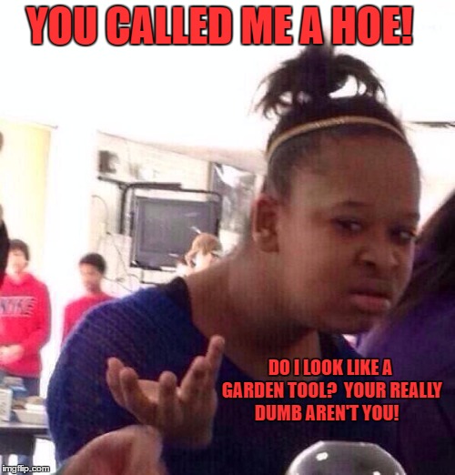 Black Girl Wat | YOU CALLED ME A HOE! DO I LOOK LIKE A GARDEN TOOL?  YOUR REALLY DUMB AREN'T YOU! | image tagged in memes,black girl wat | made w/ Imgflip meme maker
