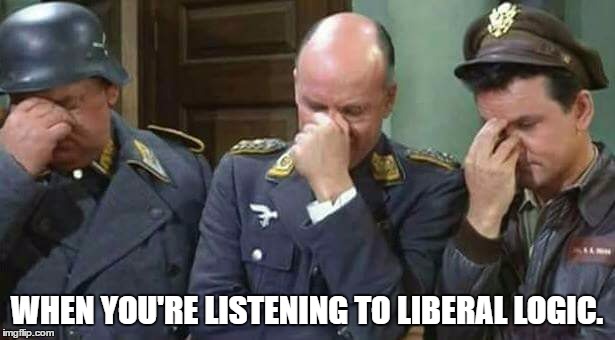 WHEN YOU'RE LISTENING TO LIBERAL LOGIC. | image tagged in comedy | made w/ Imgflip meme maker