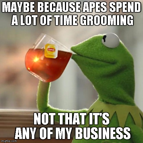 But That's None Of My Business Meme | MAYBE BECAUSE APES SPEND A LOT OF TIME GROOMING NOT THAT IT'S ANY OF MY BUSINESS | image tagged in memes,but thats none of my business,kermit the frog | made w/ Imgflip meme maker