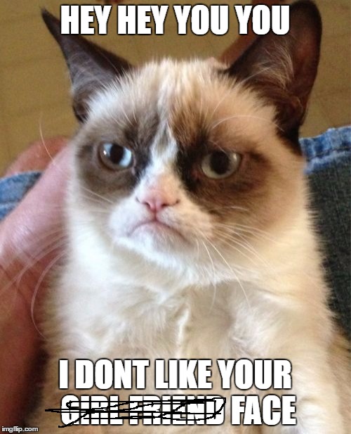 Grumpy Cat Meme | HEY HEY YOU YOU; I DONT LIKE YOUR GIRL FRIEND FACE | image tagged in memes,grumpy cat | made w/ Imgflip meme maker