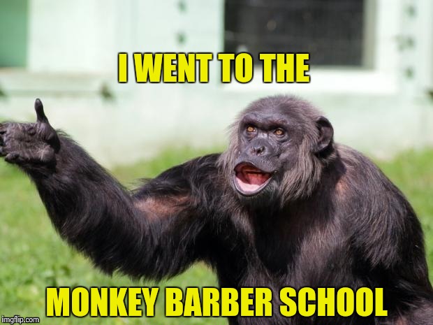 Gorilla your dreams | I WENT TO THE MONKEY BARBER SCHOOL | image tagged in gorilla your dreams | made w/ Imgflip meme maker