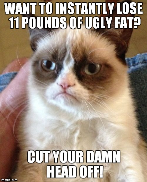 Grumpy Cat Meme | WANT TO INSTANTLY LOSE 11 POUNDS OF UGLY FAT? CUT YOUR DAMN HEAD OFF! | image tagged in memes,grumpy cat | made w/ Imgflip meme maker