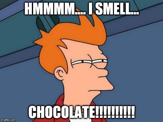 Futurama Fry | HMMMM.... I SMELL... CHOCOLATE!!!!!!!!!! | image tagged in memes,futurama fry | made w/ Imgflip meme maker