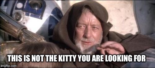 These Aren't The Droids You Were Looking For | THIS IS NOT THE KITTY YOU ARE LOOKING FOR | image tagged in memes,these arent the droids you were looking for | made w/ Imgflip meme maker