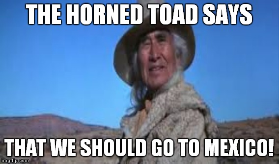 THE HORNED TOAD SAYS THAT WE SHOULD GO TO MEXICO! | made w/ Imgflip meme maker