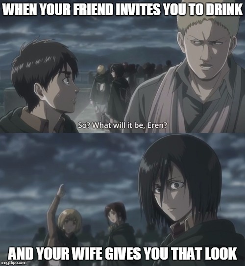 SNK tense moment | WHEN YOUR FRIEND INVITES YOU TO DRINK; AND YOUR WIFE GIVES YOU THAT LOOK | image tagged in snk tense moment | made w/ Imgflip meme maker