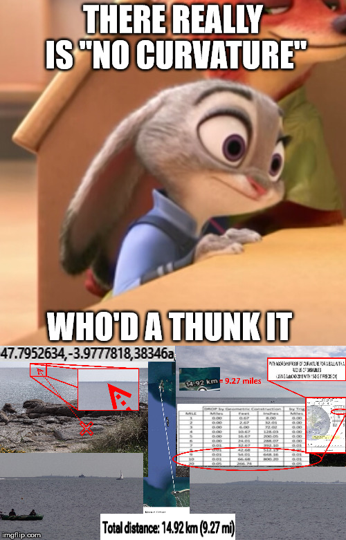No curve | THERE REALLY IS "NO CURVATURE"; WHO'D A THUNK IT | image tagged in curvature,flat earth,flatearth,zootopia | made w/ Imgflip meme maker