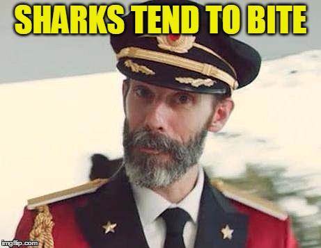 Captain Obvious | SHARKS TEND TO BITE | image tagged in captain obvious | made w/ Imgflip meme maker