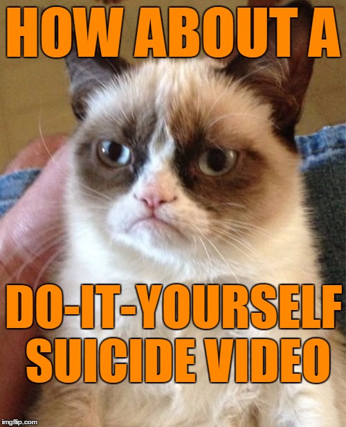 Grumpy Cat Meme | HOW ABOUT A DO-IT-YOURSELF SUICIDE VIDEO | image tagged in memes,grumpy cat | made w/ Imgflip meme maker