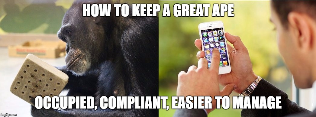 raisin board technology | HOW TO KEEP A GREAT APE; OCCUPIED, COMPLIANT, EASIER TO MANAGE | image tagged in raisin board technology | made w/ Imgflip meme maker