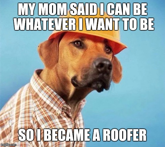 I'm Not Just Any Roofer Like The Rest Of The Dogs | MY MOM SAID I CAN BE WHATEVER I WANT TO BE; SO I BECAME A ROOFER | image tagged in funny,memes,dog,puns | made w/ Imgflip meme maker