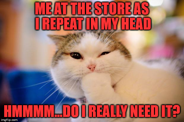 thinking cat | ME AT THE STORE AS I REPEAT IN MY HEAD; HMMMM...DO I REALLY NEED IT? | image tagged in thinking cat | made w/ Imgflip meme maker
