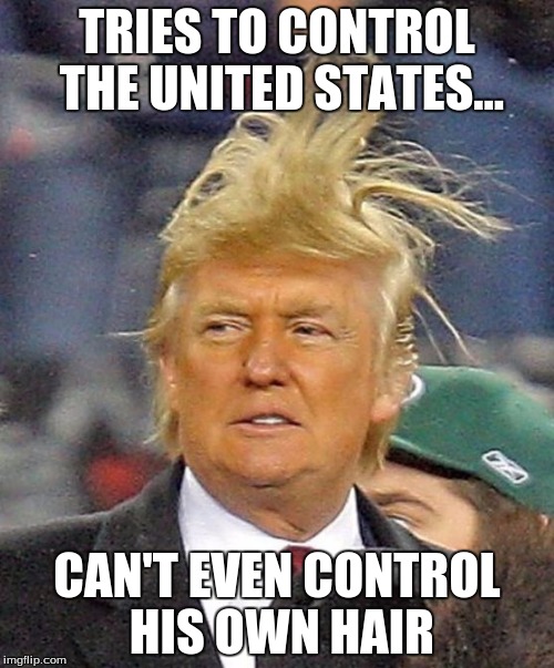 Donald Trumph hair | TRIES TO CONTROL THE UNITED STATES... CAN'T EVEN CONTROL HIS OWN HAIR | image tagged in donald trumph hair | made w/ Imgflip meme maker