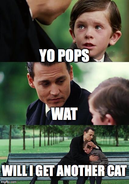 pops |  YO POPS; WAT; WILL I GET ANOTHER CAT | image tagged in memes,finding neverland | made w/ Imgflip meme maker