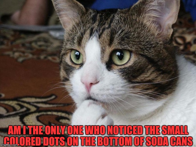 Thinking Cat | AM I THE ONLY ONE WHO NOTICED THE SMALL COLORED DOTS ON THE BOTTOM OF SODA CANS | image tagged in memes,funny,cats | made w/ Imgflip meme maker