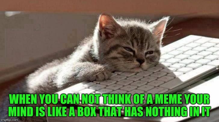 Every Imgfilippers Problem  | WHEN YOU CAN NOT THINK OF A MEME YOUR MIND IS LIKE A BOX THAT HAS NOTHING IN IT | image tagged in memes,funny,cats | made w/ Imgflip meme maker