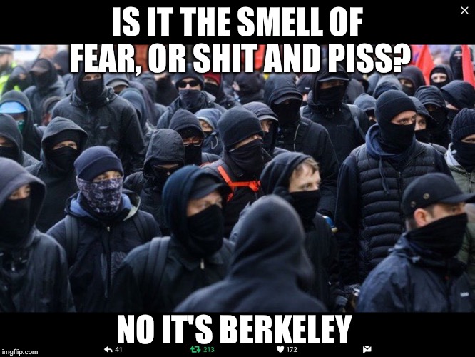 Antifa | IS IT THE SMELL OF FEAR, OR SHIT AND PISS? NO IT'S BERKELEY | image tagged in antifa | made w/ Imgflip meme maker