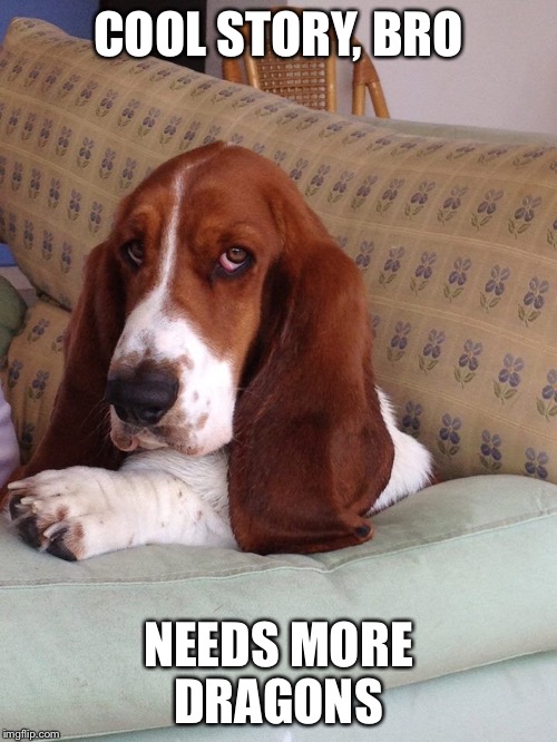 Basset Bro | COOL STORY, BRO; NEEDS MORE DRAGONS | image tagged in doge,bro,basset hound | made w/ Imgflip meme maker