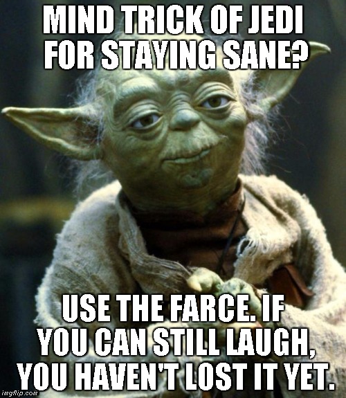 jedi mind trick for staying sane | MIND TRICK OF JEDI FOR STAYING SANE? USE THE FARCE. IF YOU CAN STILL LAUGH, YOU HAVEN'T LOST IT YET. | image tagged in star wars yoda,yoda | made w/ Imgflip meme maker