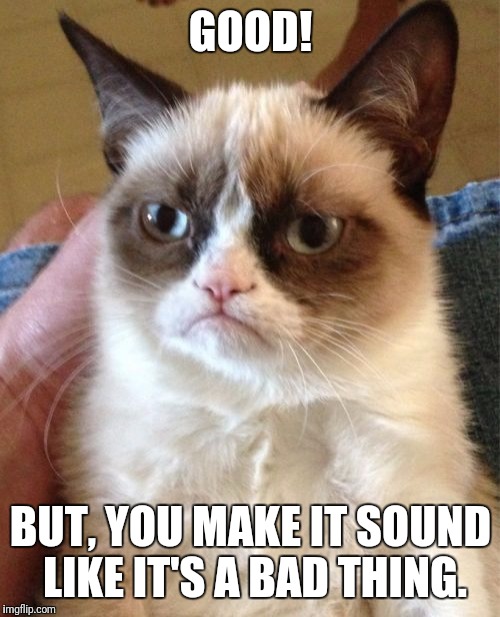 Grumpy Cat Meme | GOOD! BUT, YOU MAKE IT SOUND LIKE IT'S A BAD THING. | image tagged in memes,grumpy cat | made w/ Imgflip meme maker