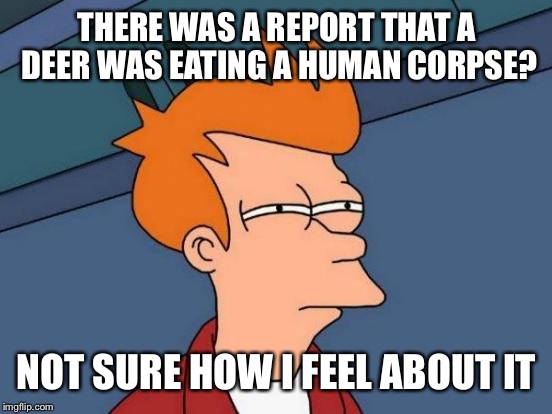 Futurama Fry Meme | THERE WAS A REPORT THAT A DEER WAS EATING A HUMAN CORPSE? NOT SURE HOW I FEEL ABOUT IT | image tagged in memes,futurama fry | made w/ Imgflip meme maker