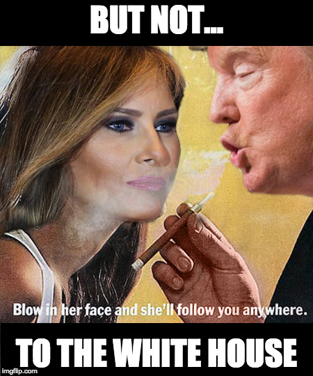 Blow in her face  | BUT NOT... TO THE WHITE HOUSE | image tagged in donald trump,misogyny,melanie trump,sexist pig,sexism | made w/ Imgflip meme maker