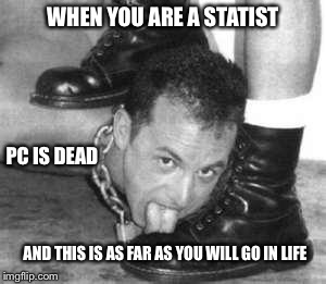 average statist | WHEN YOU ARE A STATIST; PC IS DEAD; AND THIS IS AS FAR AS YOU WILL GO IN LIFE | image tagged in average statist | made w/ Imgflip meme maker