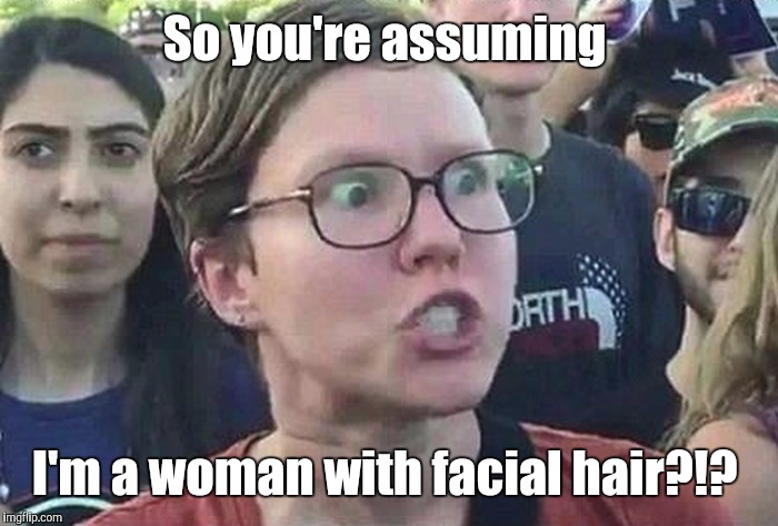 1b8nc8.jpg | So you're assuming I'm a woman with facial hair?!? | image tagged in 1b8nc8jpg | made w/ Imgflip meme maker