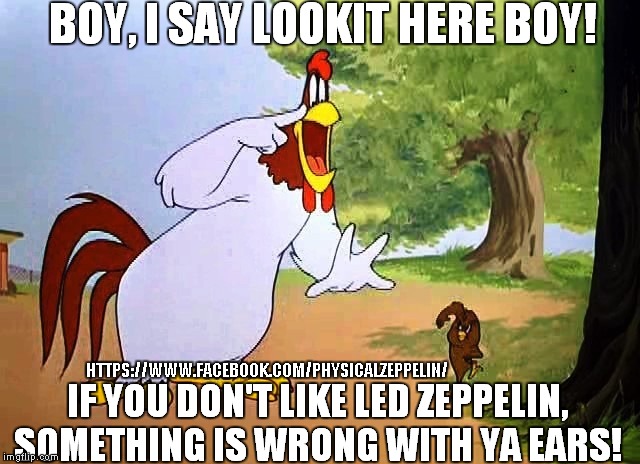 I say Boy!  | HTTPS://WWW.FACEBOOK.COM/PHYSICALZEPPELIN/ | image tagged in foghorn leghorn,led zeppelin,funny memes | made w/ Imgflip meme maker