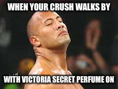 The Rock Smelling | WHEN YOUR CRUSH WALKS BY; WITH VICTORIA SECRET PERFUME ON | image tagged in the rock smelling | made w/ Imgflip meme maker