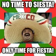 Mexican Fiesta | NO TIME TO SIESTA! ONLY TIME FOR FIESTA! | image tagged in mexican fiesta | made w/ Imgflip meme maker
