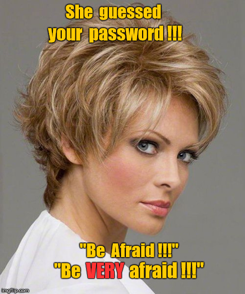 Guessed password -- be afraid! | She  guessed; your  password !!! "Be  Afraid !!!"; afraid !!!"; "Be; VERY | image tagged in guessed your password,be afraid,bitch stare | made w/ Imgflip meme maker