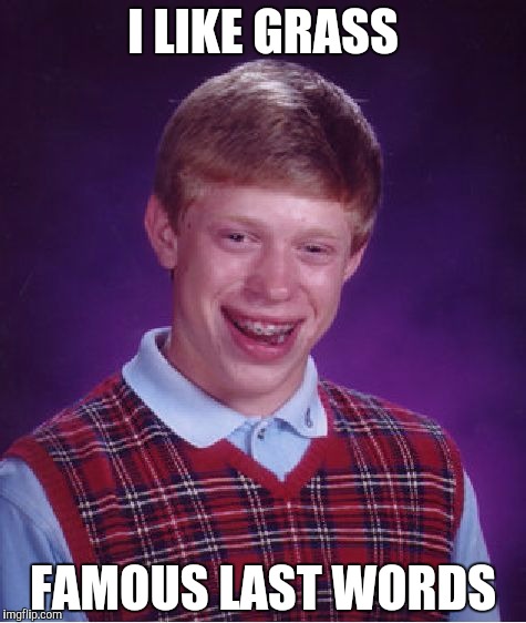 Bad Luck Brian | I LIKE GRASS; FAMOUS LAST WORDS | image tagged in memes,bad luck brian | made w/ Imgflip meme maker