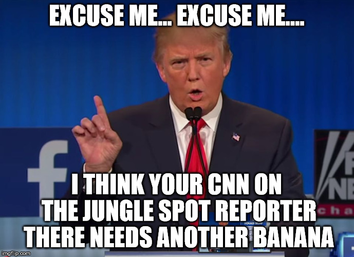 trump | EXCUSE ME... EXCUSE ME.... I THINK YOUR CNN ON THE JUNGLE SPOT REPORTER THERE NEEDS ANOTHER BANANA | image tagged in trump | made w/ Imgflip meme maker