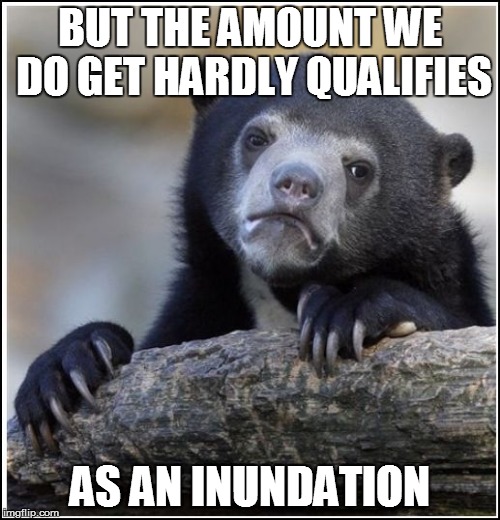 BUT THE AMOUNT WE DO GET HARDLY QUALIFIES AS AN INUNDATION | made w/ Imgflip meme maker