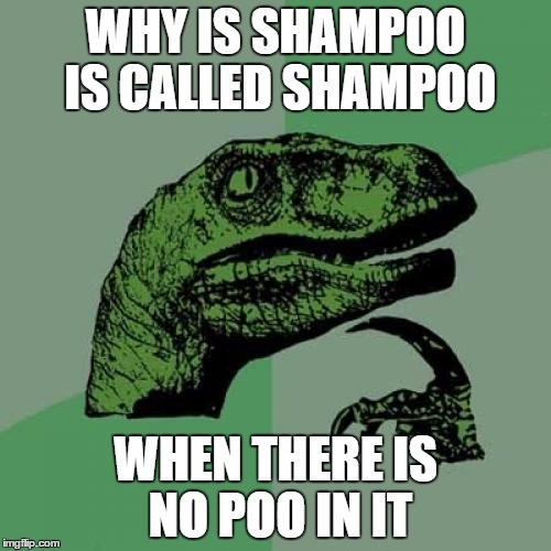 you cant spell shampoo without "POO" | WHY IS SHAMPOO IS CALLED SHAMPOO; WHEN THERE IS NO POO IN IT | image tagged in memes,philosoraptor | made w/ Imgflip meme maker