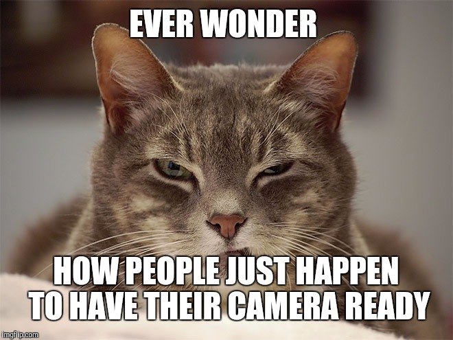 Sarcasm Cat | EVER WONDER HOW PEOPLE JUST HAPPEN TO HAVE THEIR CAMERA READY | image tagged in sarcasm cat | made w/ Imgflip meme maker