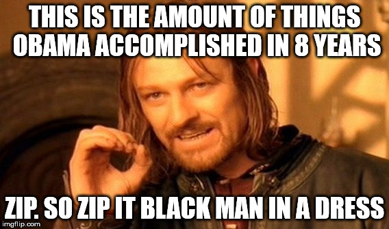 One Does Not Simply Meme | THIS IS THE AMOUNT OF THINGS OBAMA ACCOMPLISHED IN 8 YEARS ZIP. SO ZIP IT BLACK MAN IN A DRESS | image tagged in memes,one does not simply | made w/ Imgflip meme maker