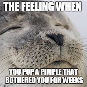 Satisfied seal | THE FEELING WHEN; YOU POP A PIMPLE THAT BOTHERED YOU FOR WEEKS | image tagged in satisfied seal | made w/ Imgflip meme maker